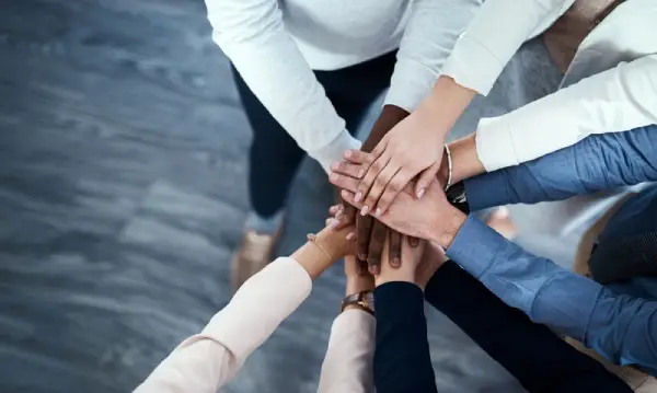 Team Collaboration